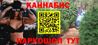 прущие крисы Будённовск