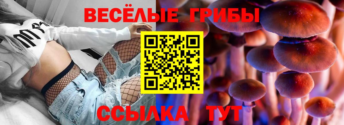 Галлюциногенные грибы Magic Shrooms Карабулак