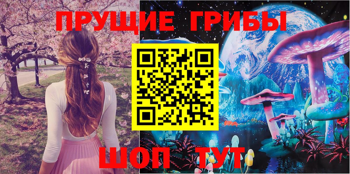 Карабулак  Галлюциногенные грибы ЛСД  Галлюциногенные грибы Psilocybe  Вход с VPN 